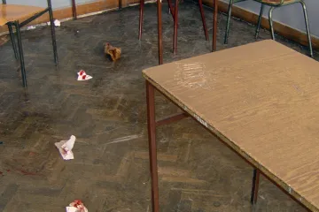 Tučnjava učenika nije nacionalno motivirana