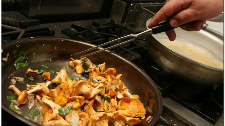 Porcija gljiva svaki dan spa&scaron;ava od raka dojke