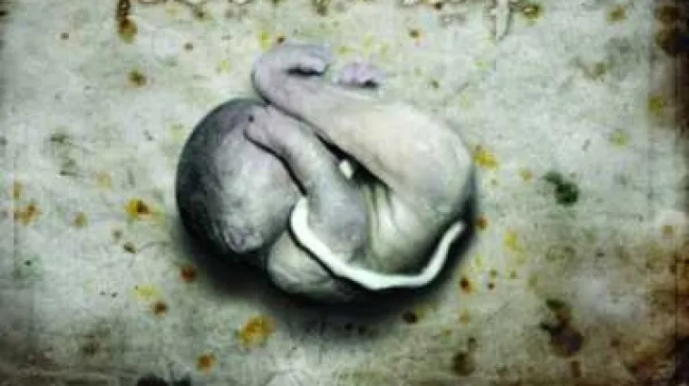 Album tjedna: COLD SNAP - Empty Promises