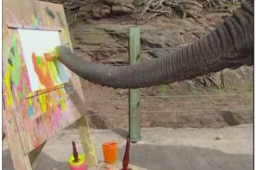 Slonica Five postala popularna slikarica