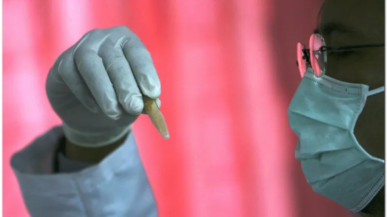 U Hrvatskoj nema zaraženih