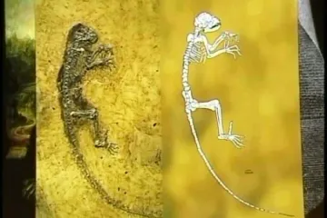 Ovo je naša pra-pra-pra tetka