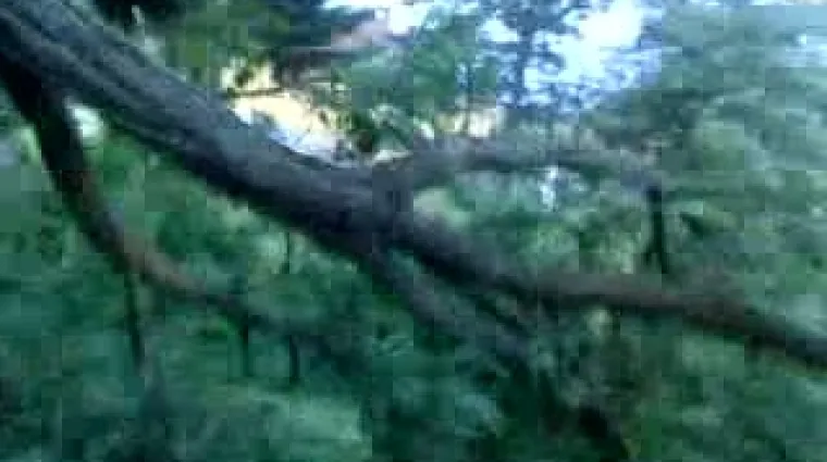 Oluja ru&scaron;ila, kidala i gužvala