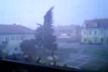 Stabla jedva izdržavala nalete vihora