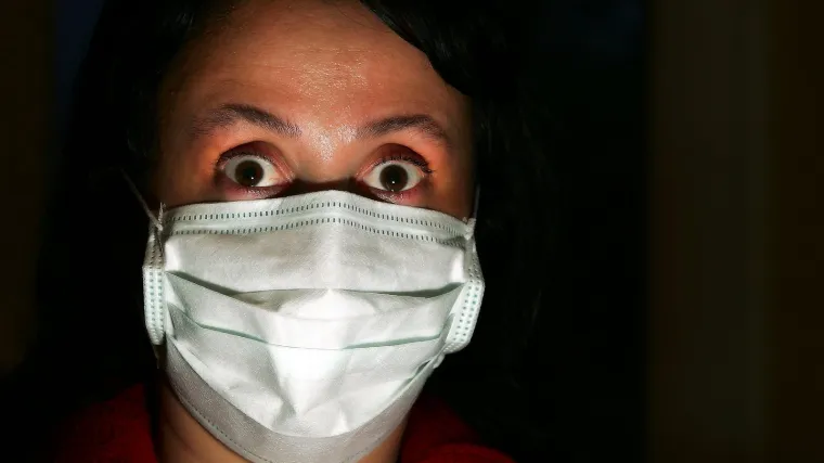 S virusom H1N1 doletio na Pleso