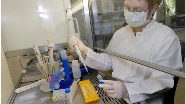 Oboljeli od svinjske gripe se smiju panici