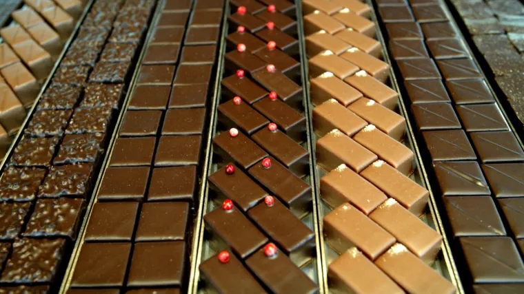Sveučili&scaron;te traži ku&scaron;ačice čokolade