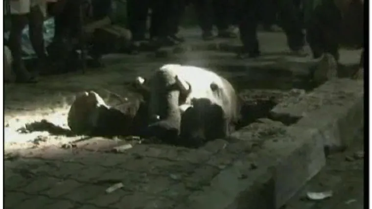 Slon propao u kanalizaciju