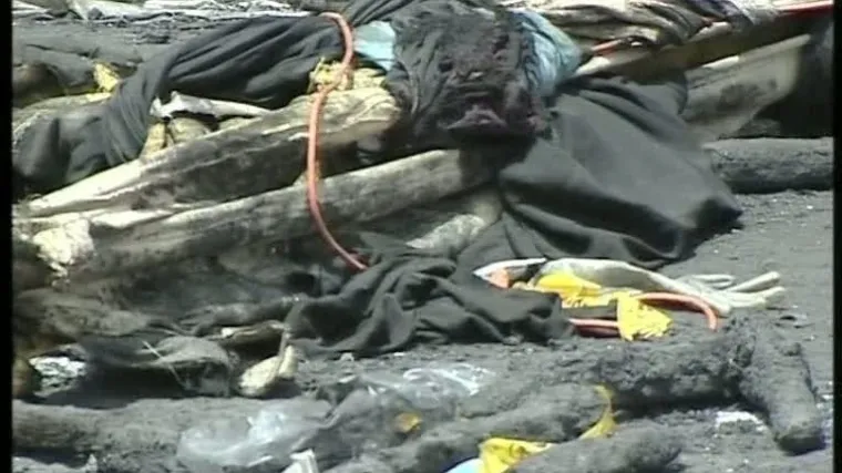 Svatovi izgorjeli pod &scaron;atorom