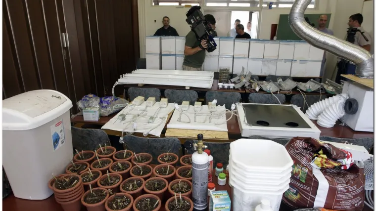 Otkriven laboratorij za uzgoj marihuane