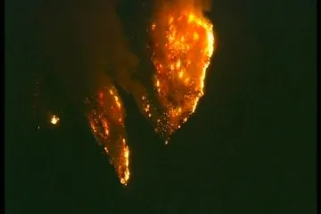 Scwarzenegger proglasio izvanredno stanje