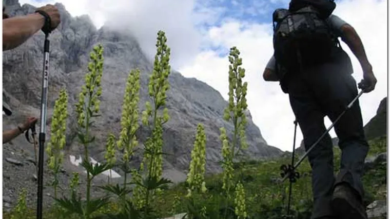 Slovenija: Poginula tri planinara