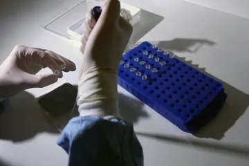 Svinjska gripa: Potrebno samo jedno cijepljenje