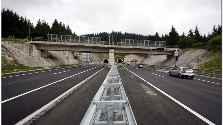 Uzgajao 'travu' između traka na autoputu