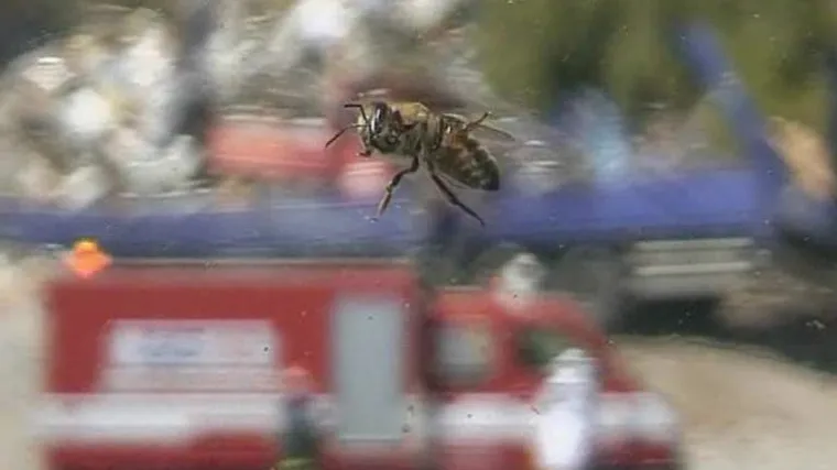 Žrtve sudara, policiju i liječnike izbole pčele