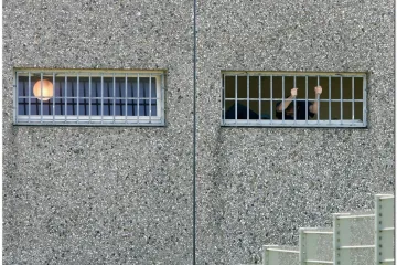 Ubojica punice dobio na lotu