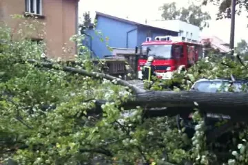 Olujni vjetar u Zagrebu oborio stablo lipe