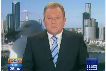 Golemi galeb "napao"voditelja