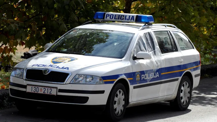 Djed bludničio nad unukom