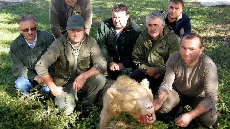 Ubijen jedini albino medvjed!