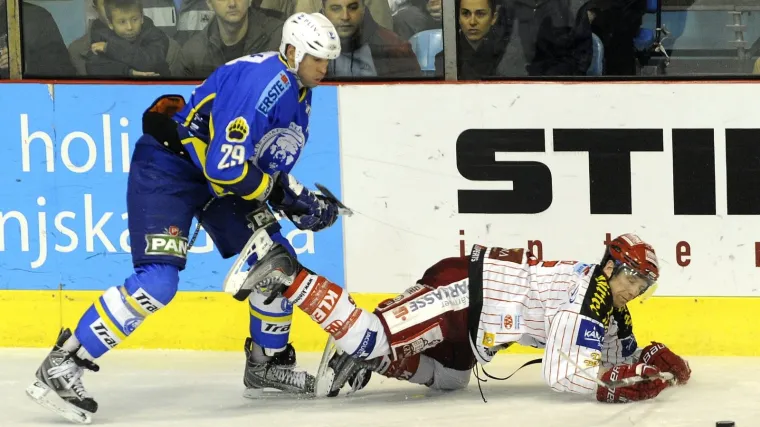 Medvjedi razbili prvake EBEL-a