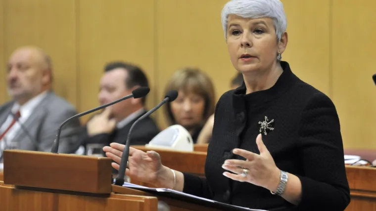 Žučna rafalna paljba u Saboru