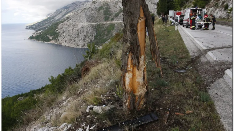 Stablo ga spasilo od slijetanja u provaliju