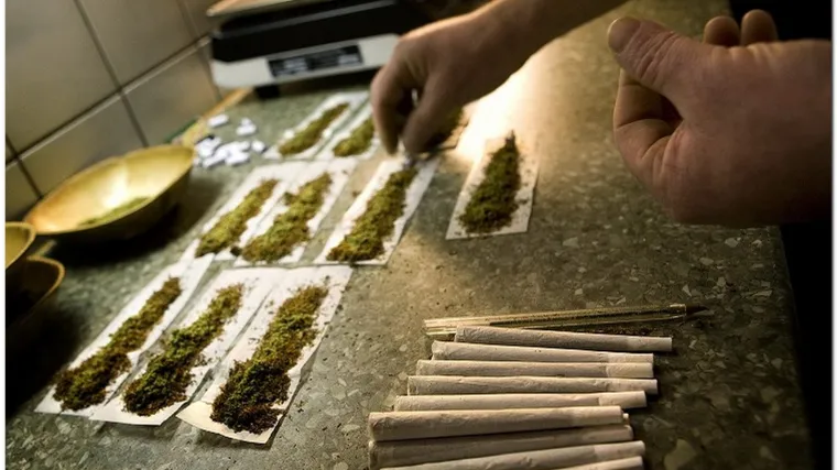 U SAD-u otvoren prvi medicinski coffee shop