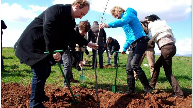 Makedonci zasadili 7,5 milijuna stabala u jednom danu