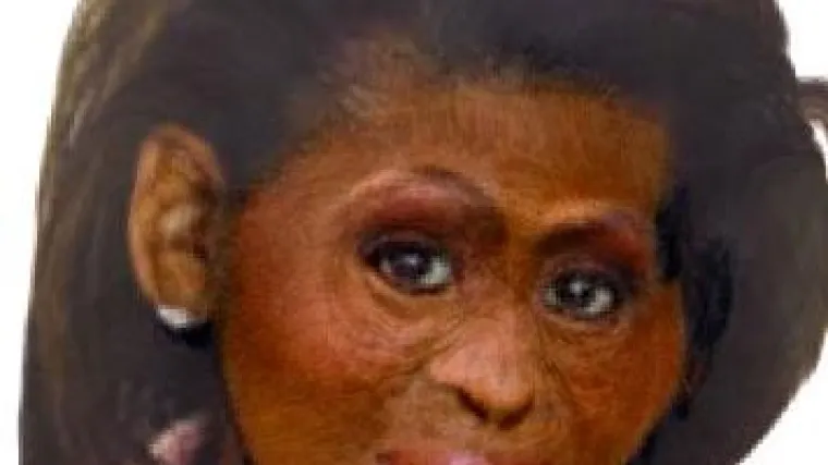 Google neće ukloniti Michelle kao majmunicu