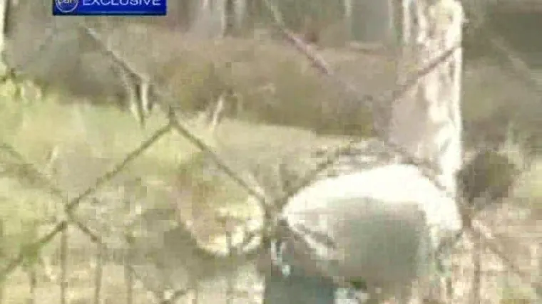 Krokodil zamalo rastrgao rendžera