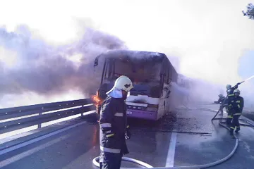 Buktinja progutala bus kod Makarske