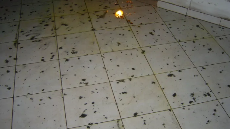 "Zbog toplane" padao crni snijeg