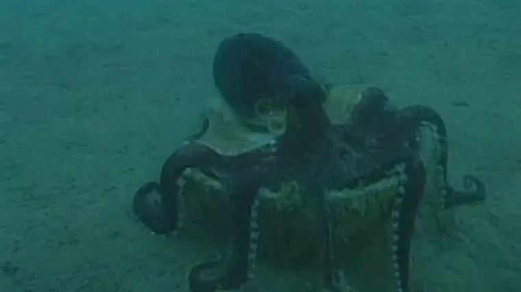 I meku&scaron;ci znaju s alatom