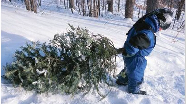 Krenuo po drvce pa izgubio djecu