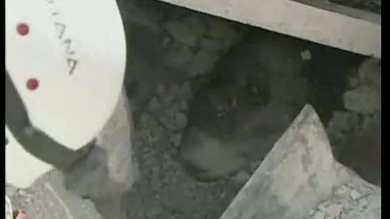 Čudesno spa&scaron;avanje trudnice na Haitiju