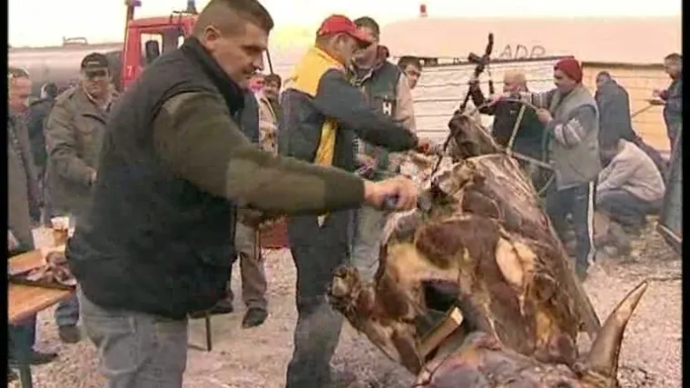 Zagvozd: Ispekli vola zbog novog tunela