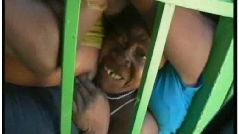 Dramatični prizori borbe za hranu