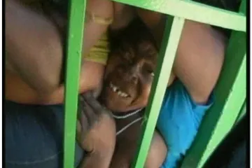 Dramatični prizori borbe za hranu