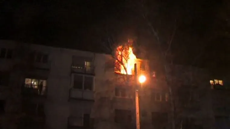 Buktinja progutala stan