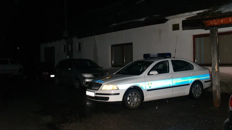 Policija prekinula tulum i pohapsila neonaciste