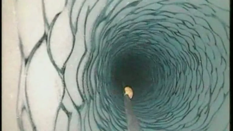 Otkrili život pod ledom Antarktike