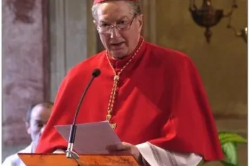 Kardinal Martini protiv celibata