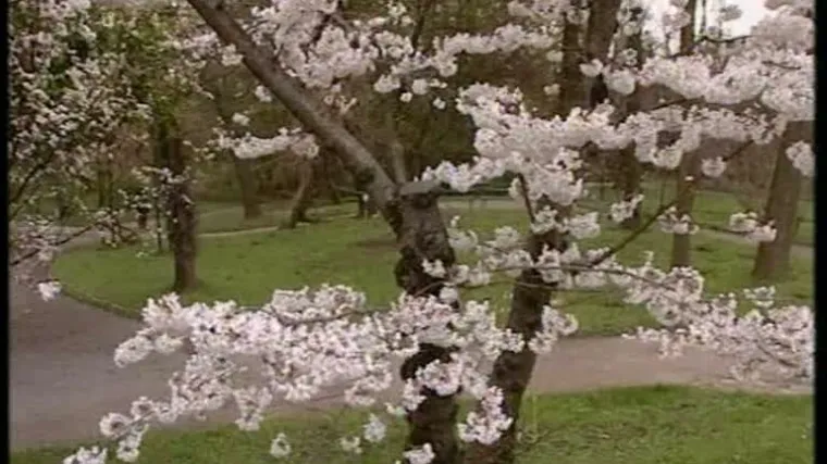 Čeka nas bijeli Uskrs?