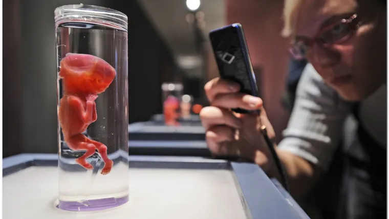 'Tijela' stigla na izložbu u Zagreb