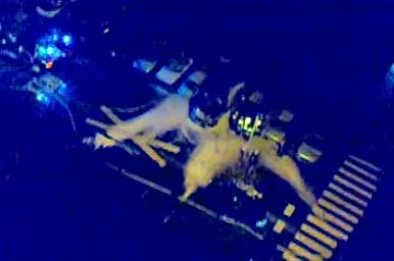 Treneru jahanja Vanje Mamić izgorio auto 2