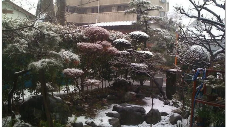 U Tokiju nenadano pao snijeg