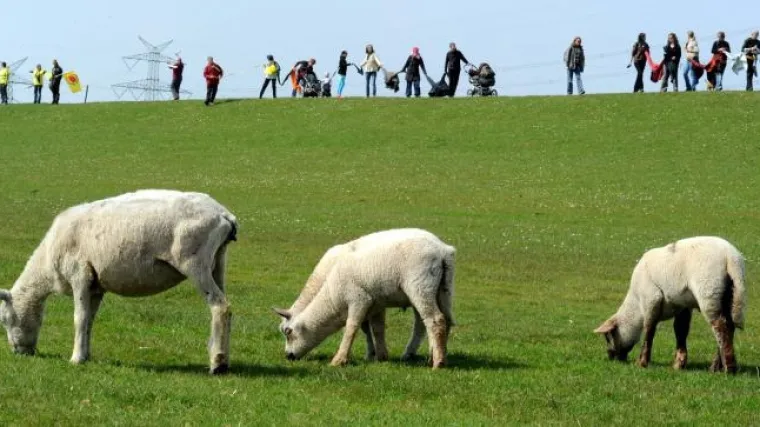 120 km dug lanac protivnika nuklearnih elektrana
