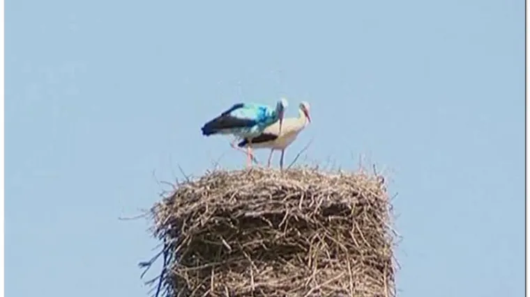 Plava roda privlači turiste