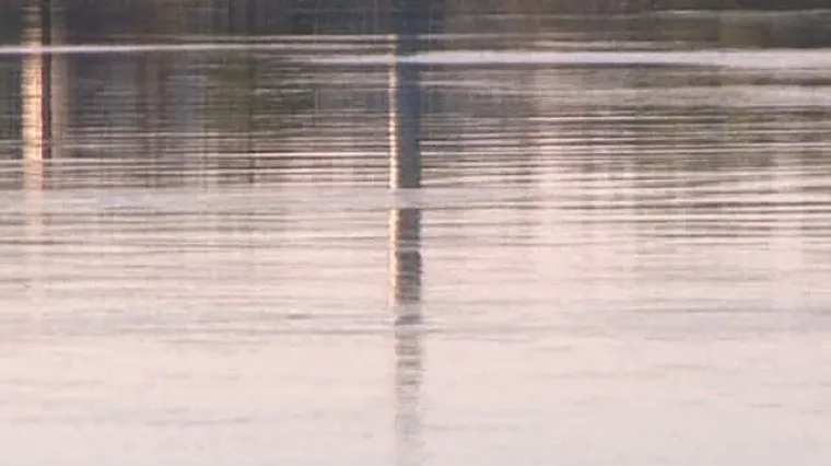 Savom teče masnoća iz Inine rafinerije